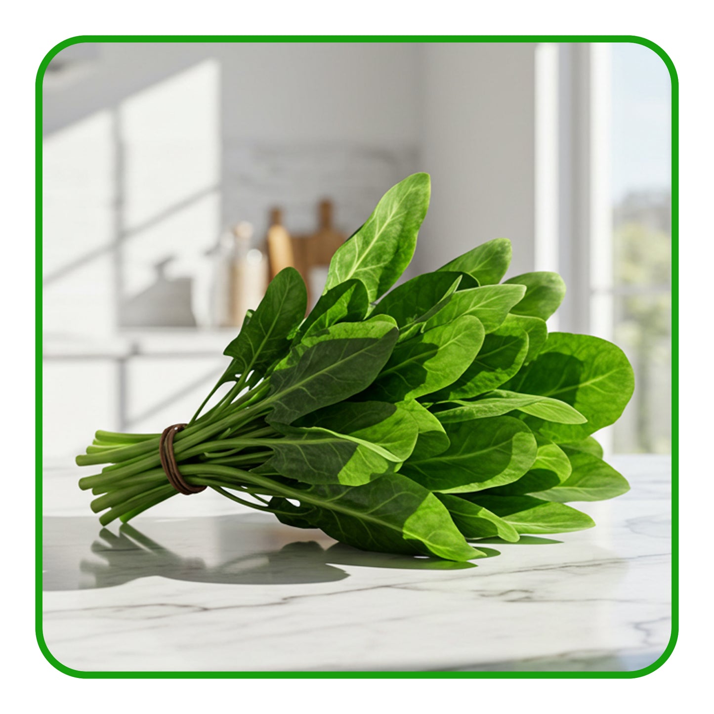 Fresh Spinach