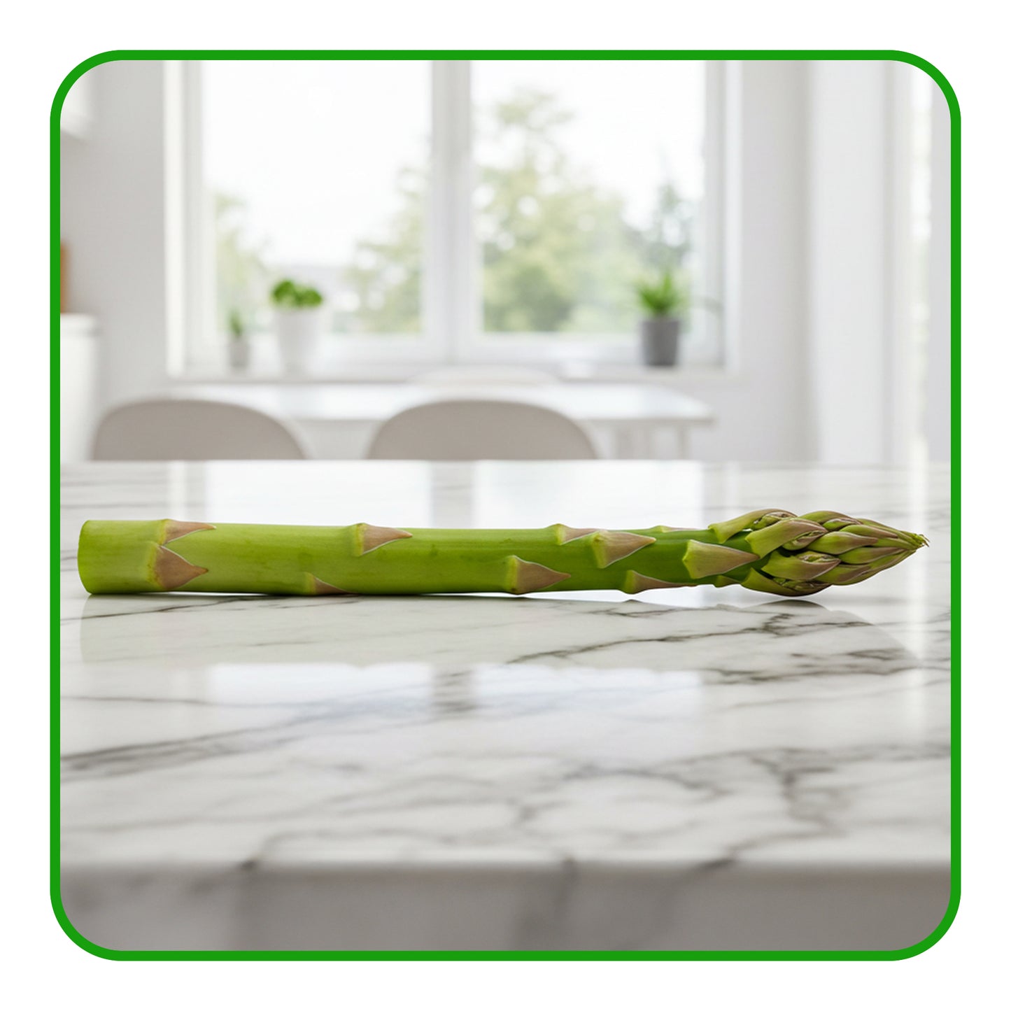 Fresh Asparagus