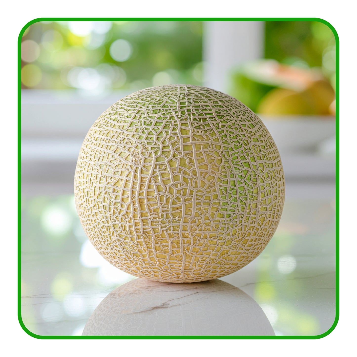 Melon - Cantaloupe - Sweet, Juicy, and Packed with Summer Flavour - Barkat