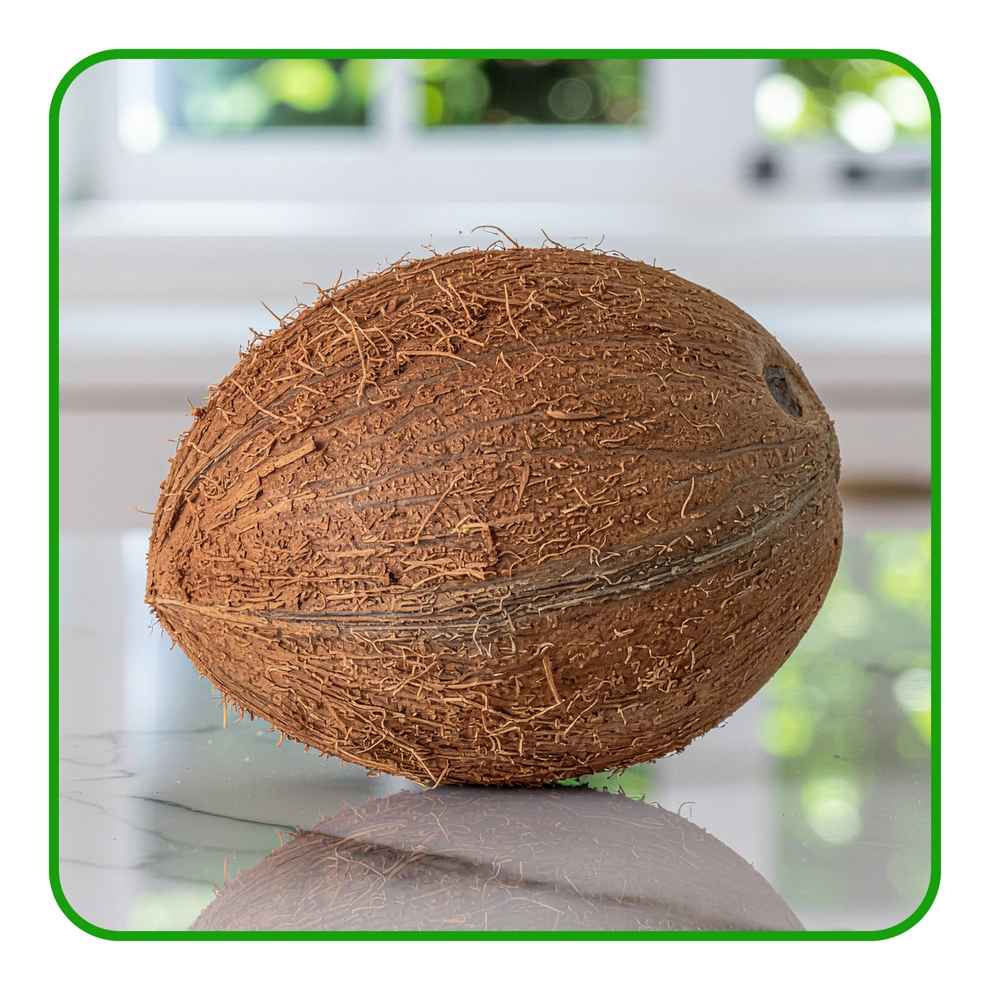 Coconuts – Tropical, Nutritious, and Versatile