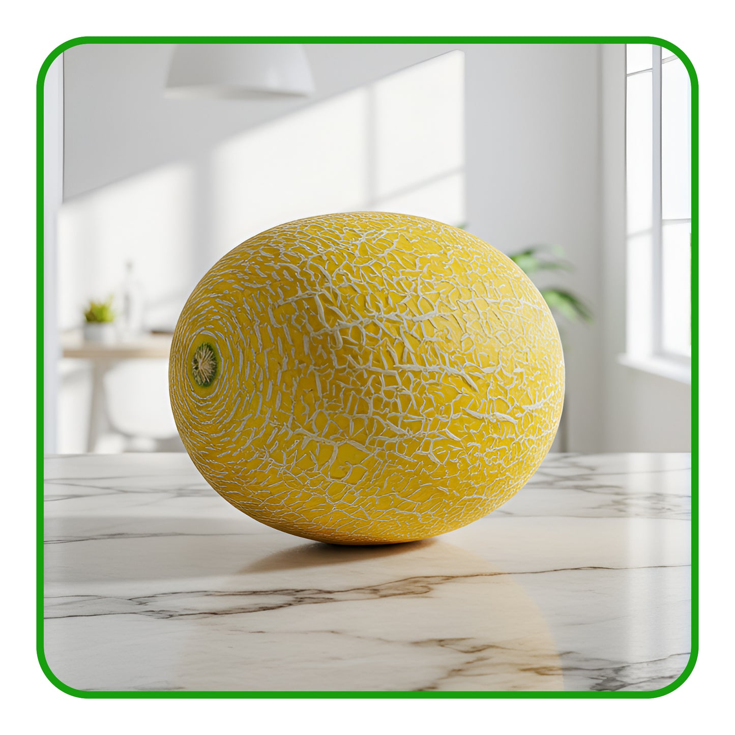 Melon - Galia - Sweet, Aromatic, and Perfectly Refreshing