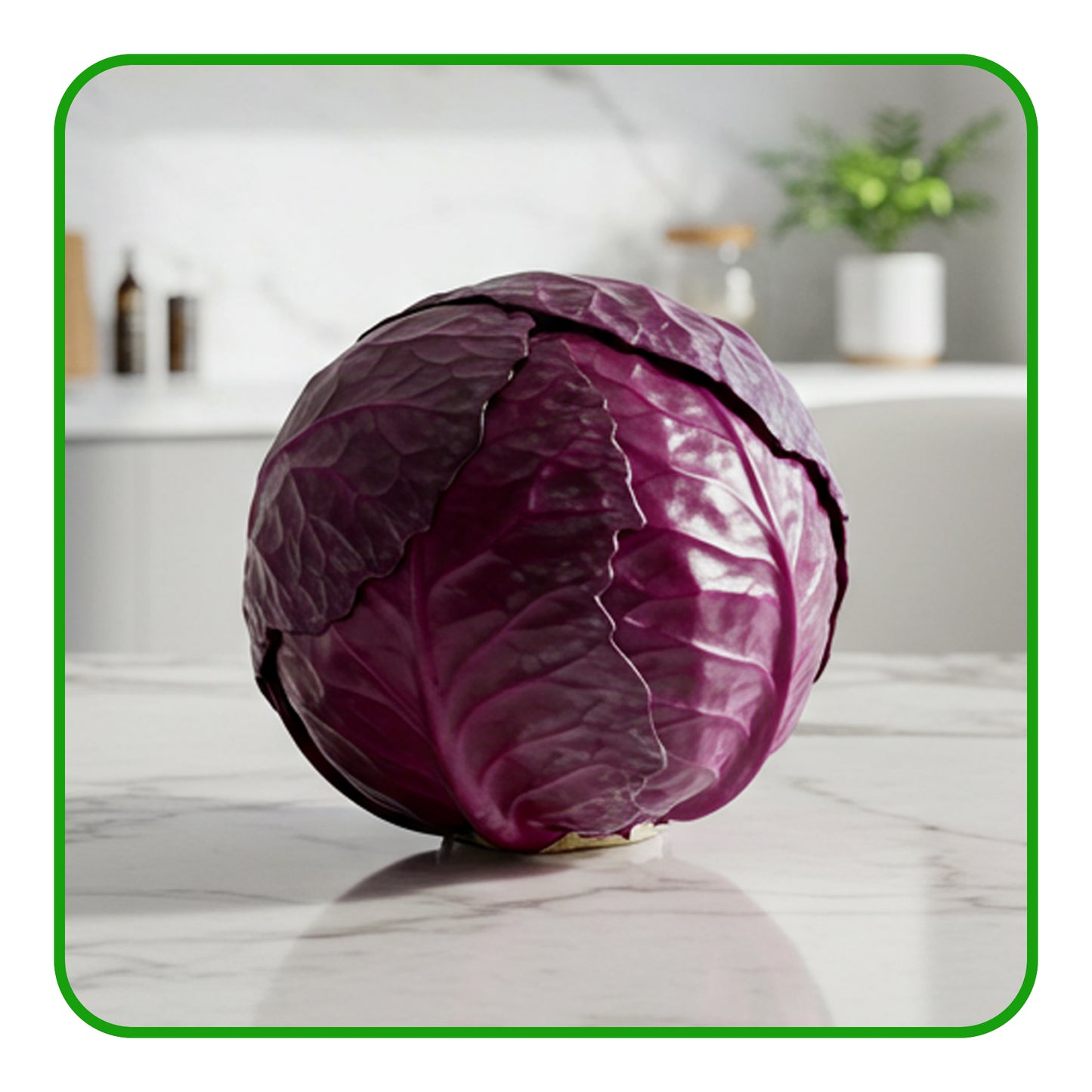 Red Cabbage