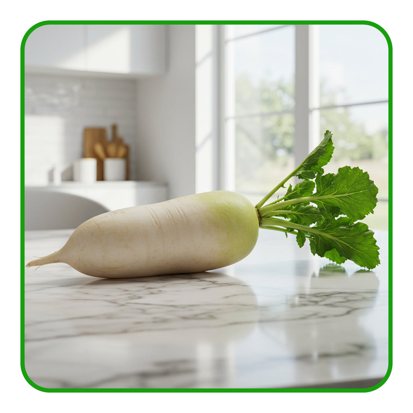 White Radish - Barkat