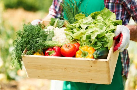 From Farm to Fork: Barkat.uk’s Commitment to Sourcing and Transparency