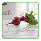 Beetroot