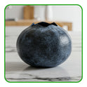 Blueberries Punnet 150g – Ripe, Juicy, and Packed with Health Benefits