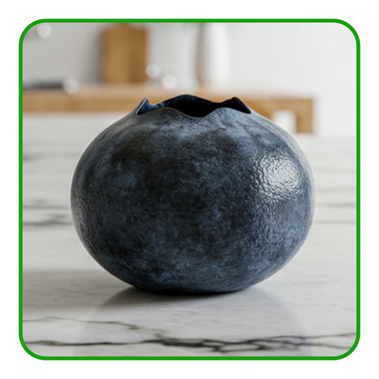 Blueberries Punnet 150g – Ripe, Juicy, and Packed with Health Benefits