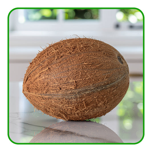 Coconuts – Tropical, Nutritious, and Versatile