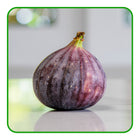 Figs – Lush, Naturally Sweet, and Full of Flavour