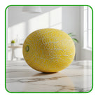 Melon - Galia - Sweet, Aromatic, and Perfectly Refreshing