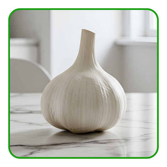 Garlic