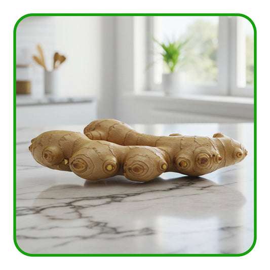 Ginger