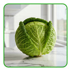 Cabbage Green