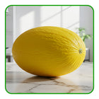 Melon - Honeydew – Mild, Juicy, and Perfectly Refreshing