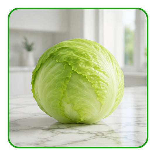 Iceberg Lettuce