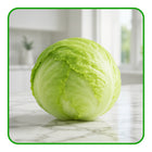 Iceberg Lettuce