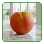 Peach – Juicy, Sweet, and Full of Summer Flavour
