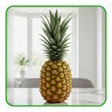 Pineapple – Tasty, Juicy, and Bursting with Tropical Flavour