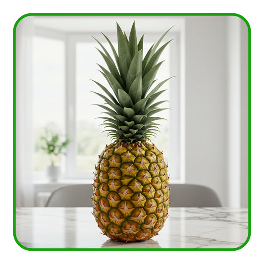 Pineapple – Tasty, Juicy, and Bursting with Tropical Flavour