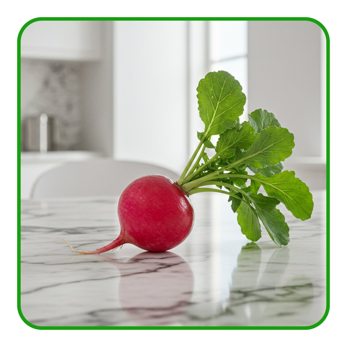 Red Radish - Barkat