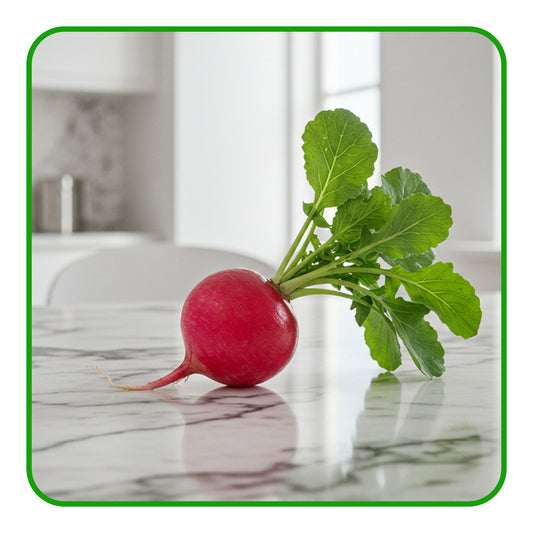 Red Radish - Barkat