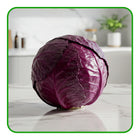 Red Cabbage