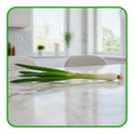 Spring Onion