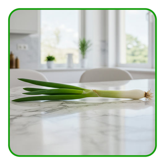 Spring Onion
