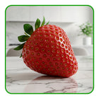 Strawberries – Juicy, Fresh, and Irresistibly Delicious