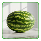 Melon - Watermelon – Refreshing, Juicy, and Bursting with Summer Flavour