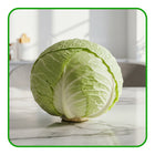 White Cabbage